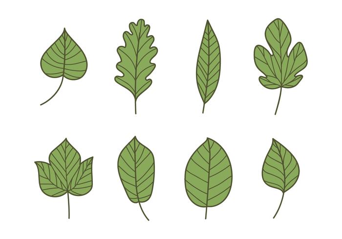 Green Leaf Types vector