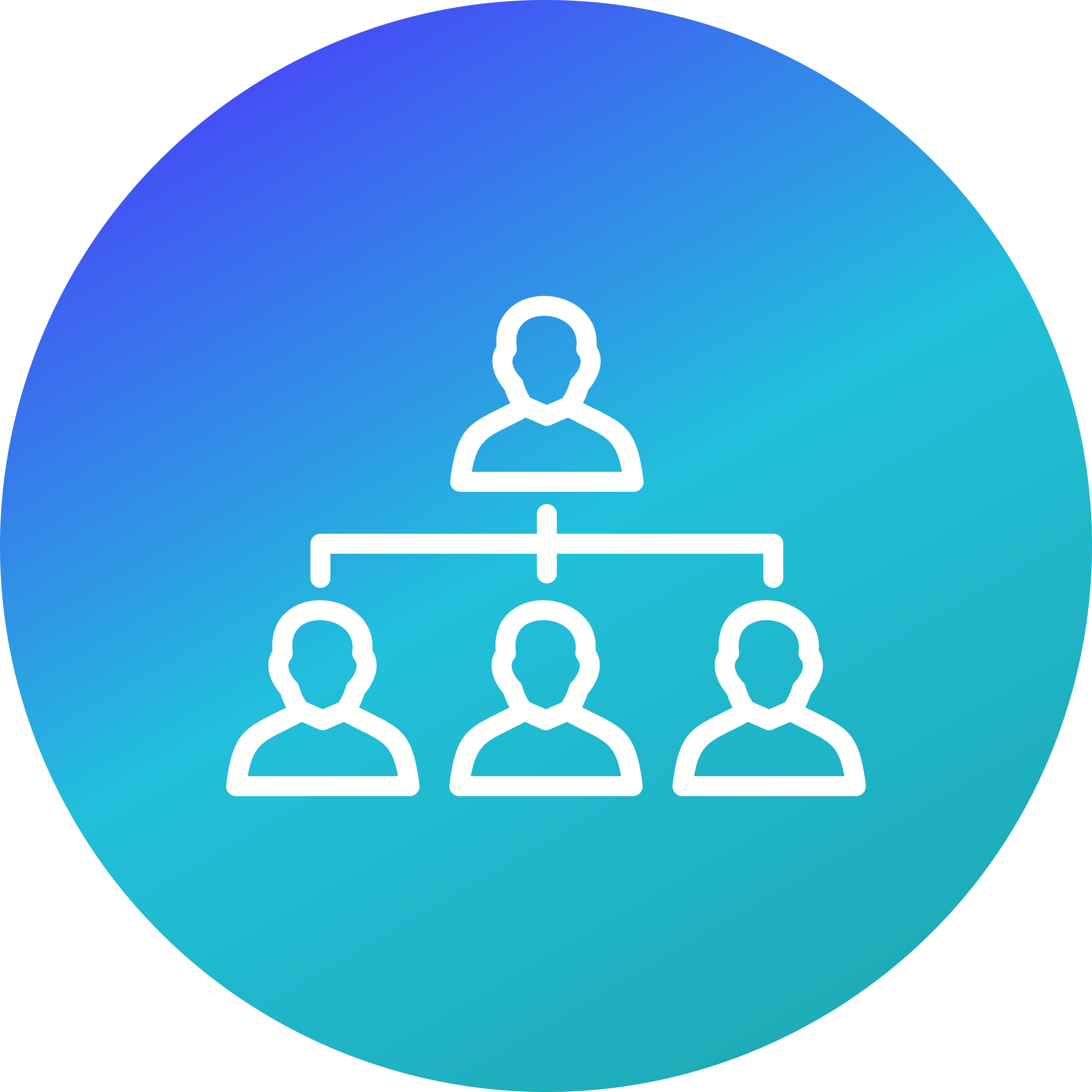 Organization Vector Icon 347858 Vector Art at Vecteezy