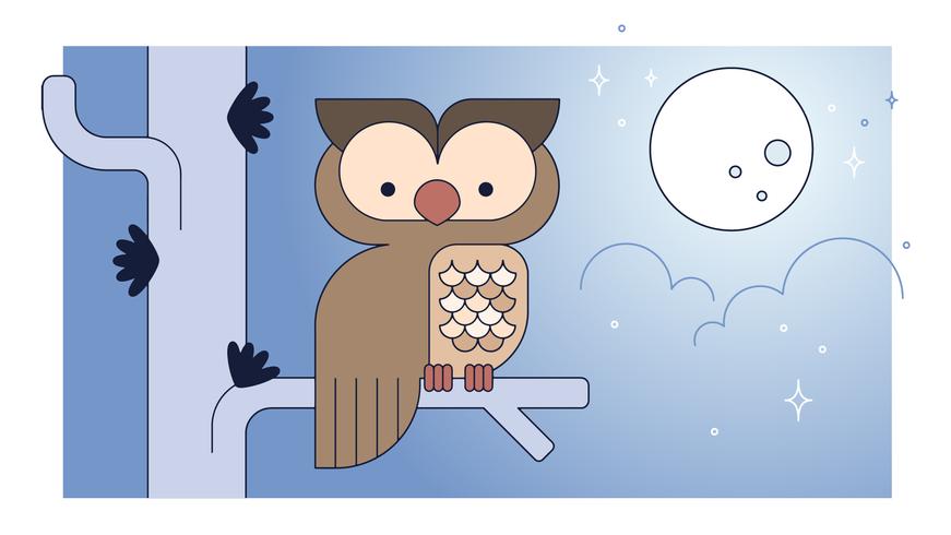 Owl Vector