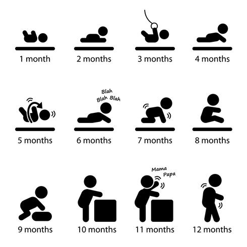 Baby Development Stages Milestones First One Year Stick Figure Pictogram Icon. vector