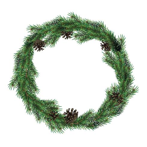 Christmas wreath of fir branches with cones. Green spruce christmas wreath. vector