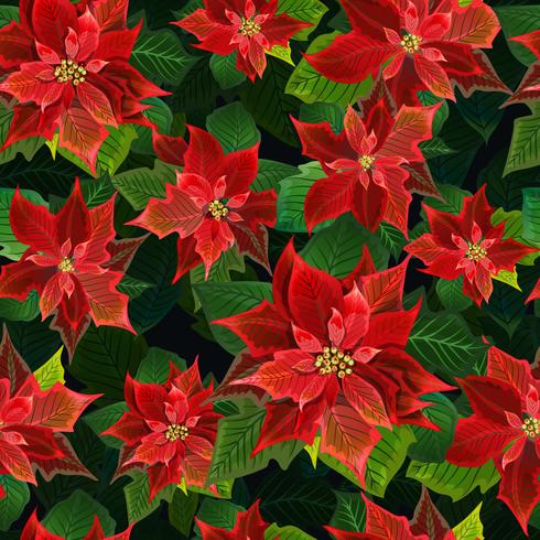 Christmas Winter Poinsettia Flowers Seamless Background, Floral Pattern Print in vector