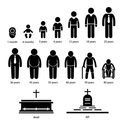 Pictogramas del proceso de crecimiento del envejecimiento humano del hombre. vector