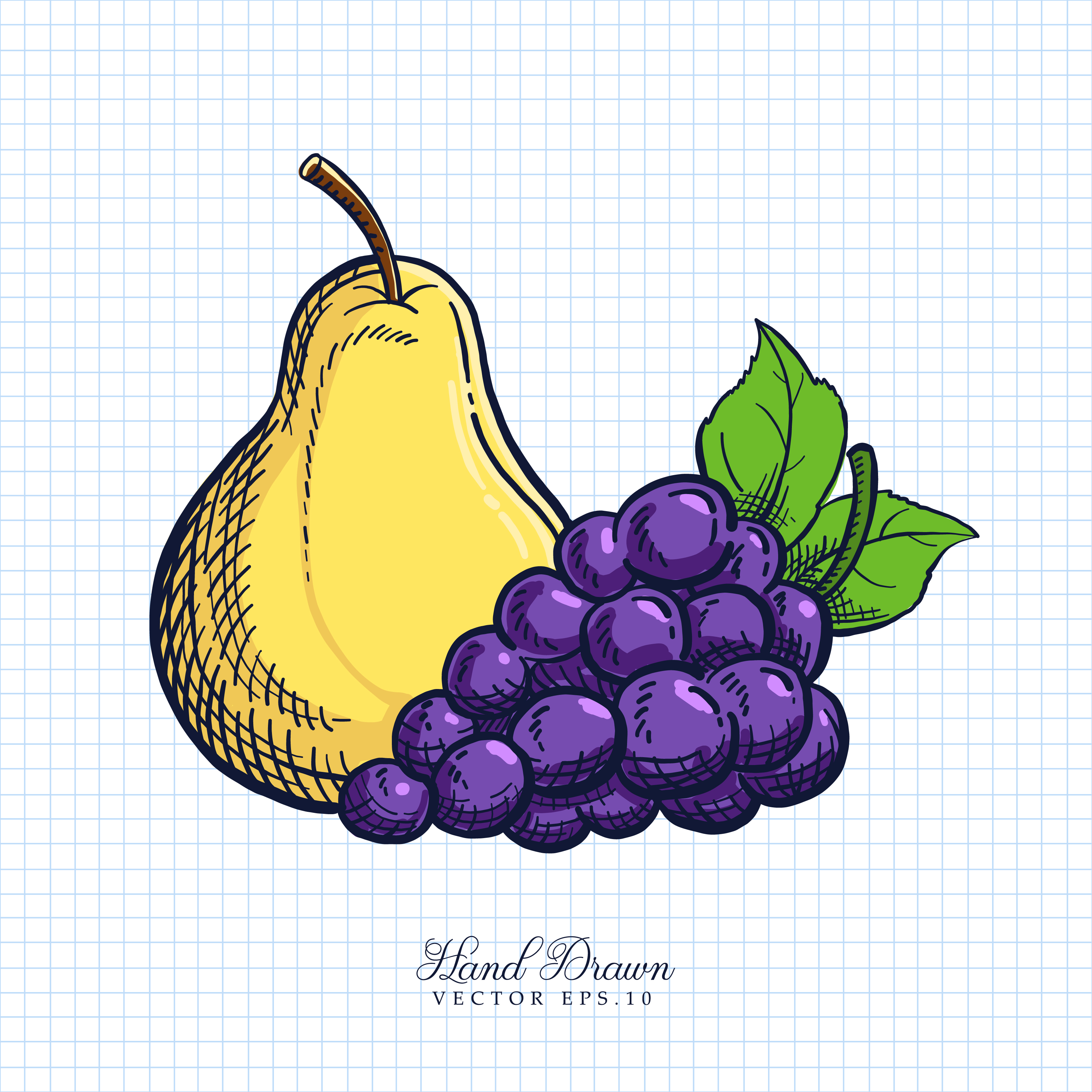 Grape pear. Натюрморт с грушами и виноградом. Натюрморт яблоко груша виноград. Цветные векторные рисунки натюрморт. Груша и виноград.