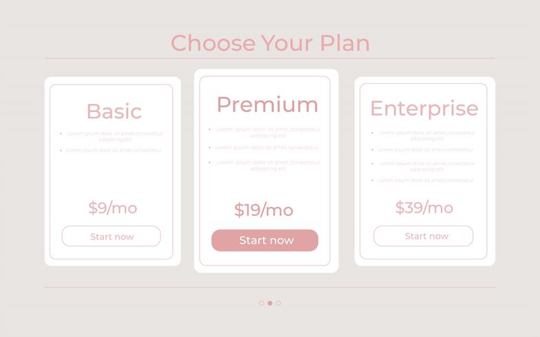 Our price plan  Different Categories of Money pricing vector