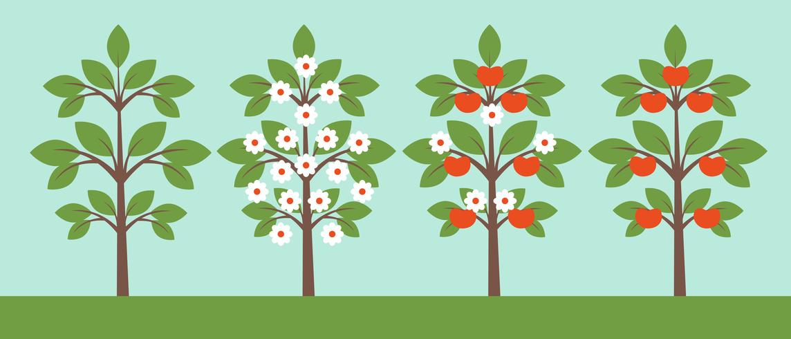Different trees collection vector