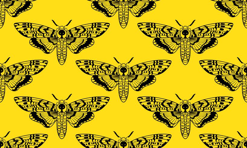 Butterfly Deaths head hawk moth seamless pattern   vector