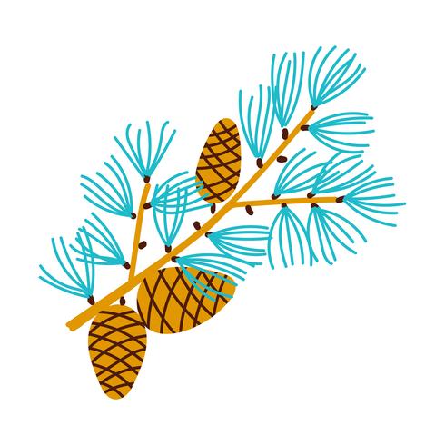 Christmas branch of pine with cones.  vector
