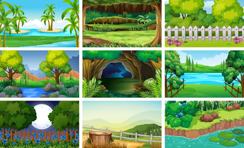 Different scenes of forest and river vector