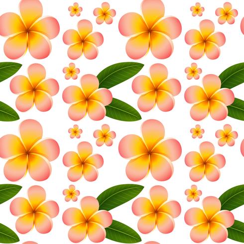 Seamless background with pink plumeria flowers vector