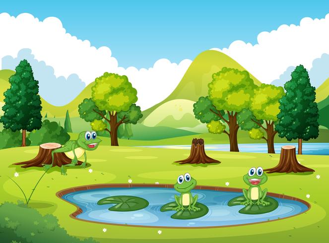 Escena del parque con tres ranas en el estanque. vector