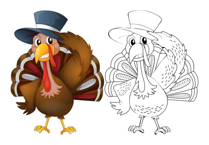 Esquema animal para pavo con gorro. vector