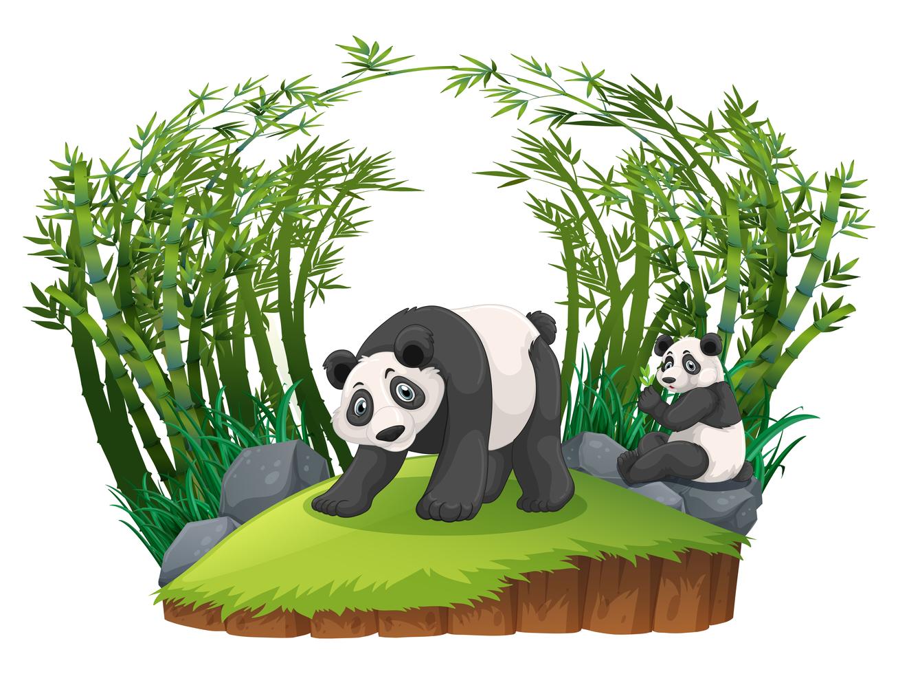 Two pandas in bamboo forest 353106 Vector Art at Vecteezy