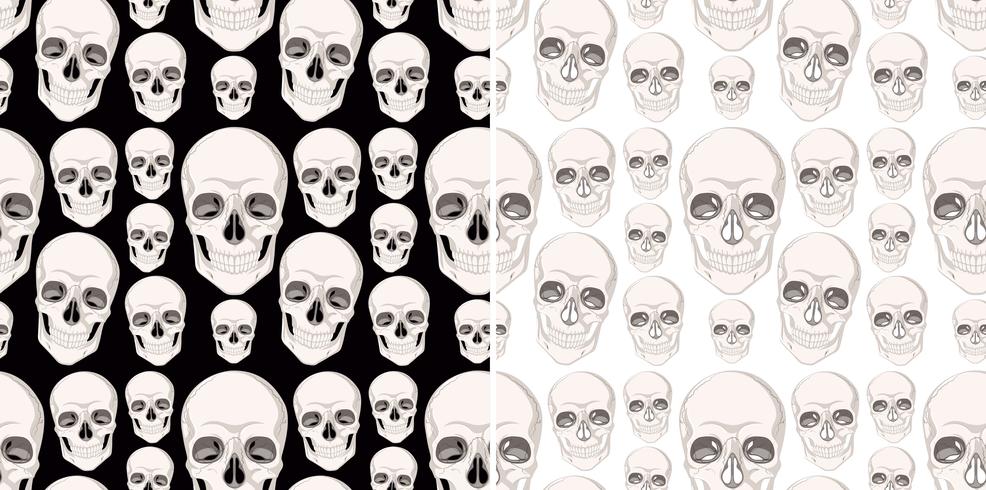 Seamless background design with human skulls vector