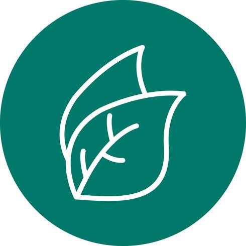 Leaf Vector Icon