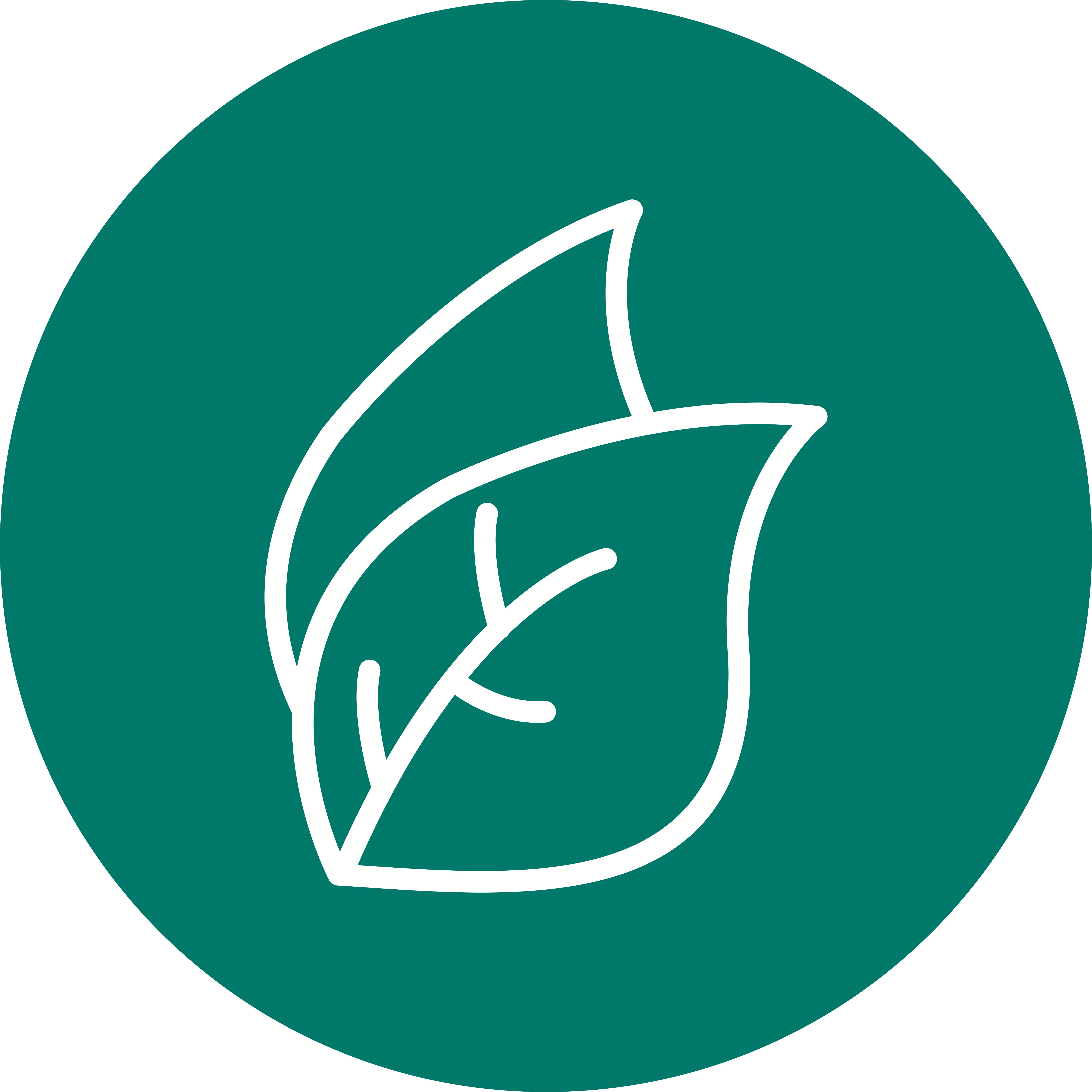 Leaf Vector Icon 353260 - Download Free Vectors, Clipart Graphics