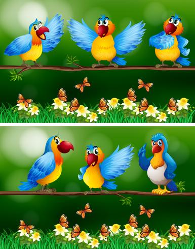 Parrot birds in flower garden vector