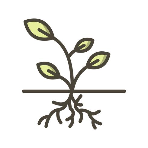 Icono de vector de raíz