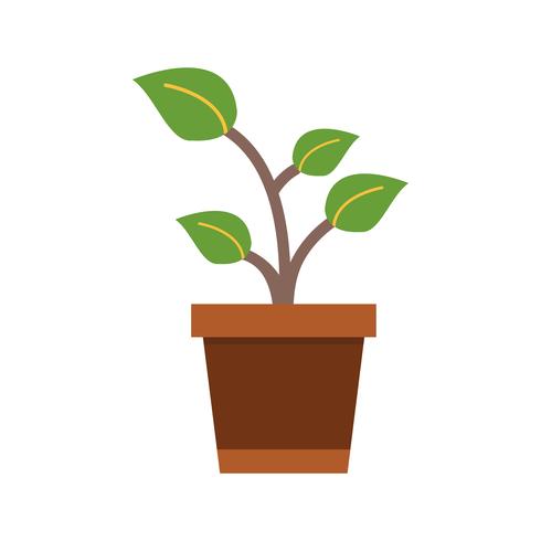 Sprout Vector Icon         