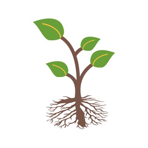 Root Vector Icon