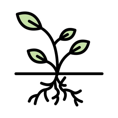 Root Vector Icon