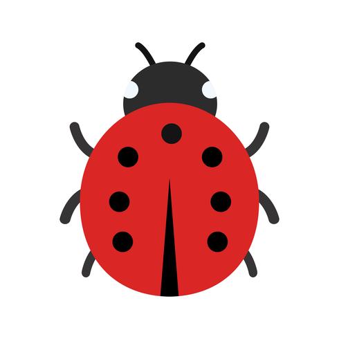 Lady Bug Vector Icon