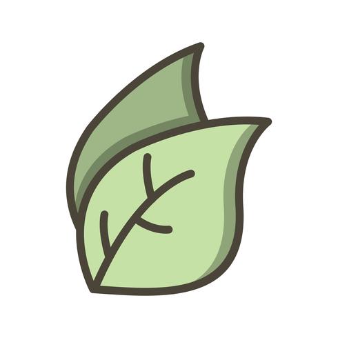 Leaf Vector Icon