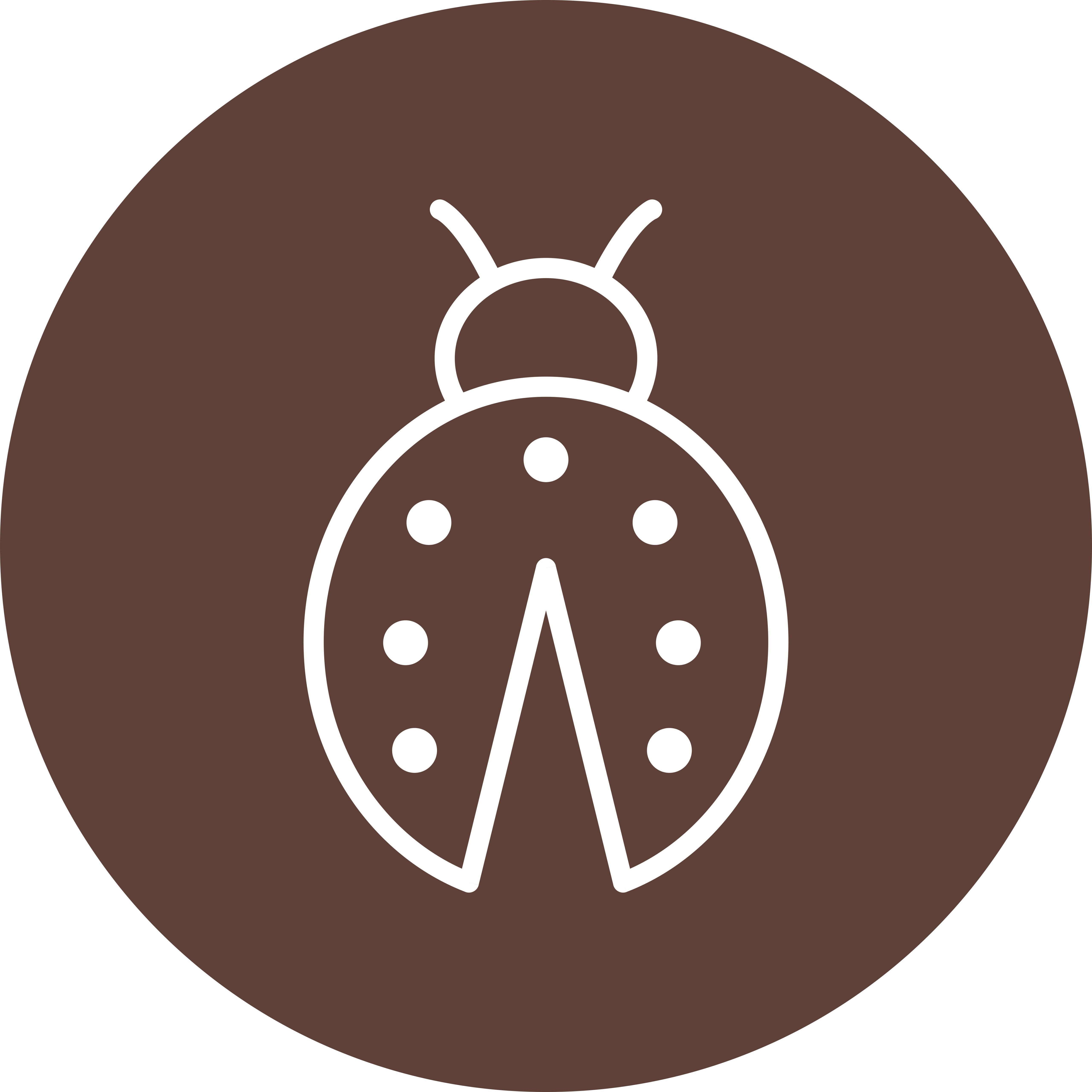 Download Lady Bug Vector Icon - Download Free Vectors, Clipart ...