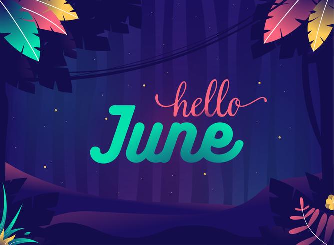 &quot;Hola junio&quot; Noche de verano Selva con plantas y estrellas. vector