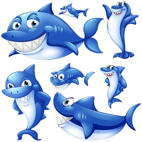 Tiburones azules en diferentes posiciones. vector