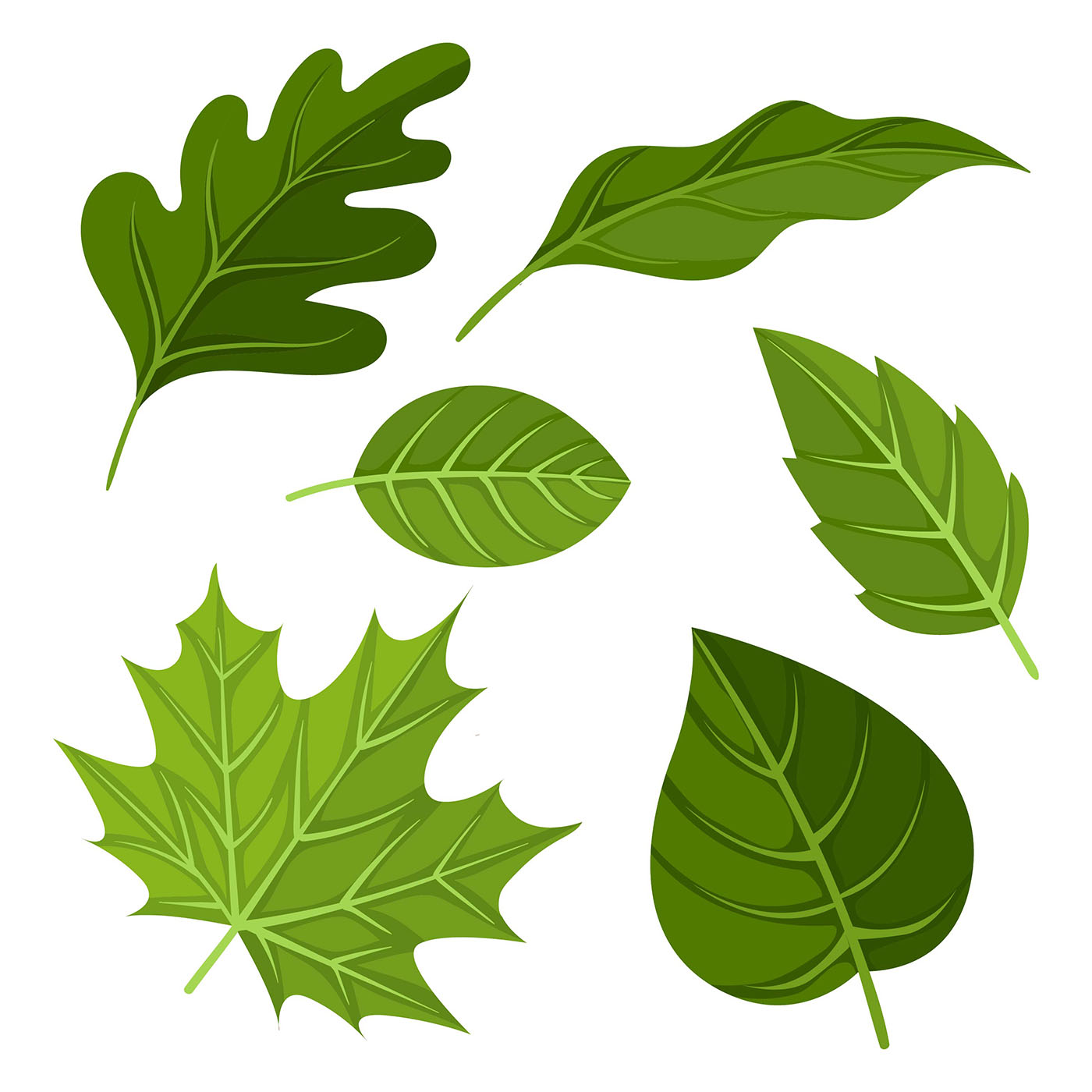 Green Leaves Clipart Set Vector 358184 Vector Art At Vecteezy