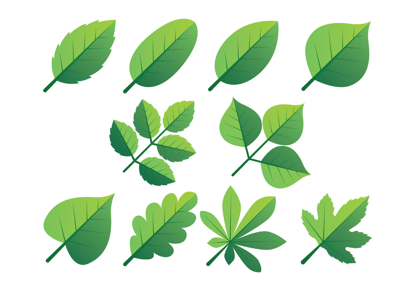 Green Leaves Clipart Set - Download Free Vectors, Clipart Graphics