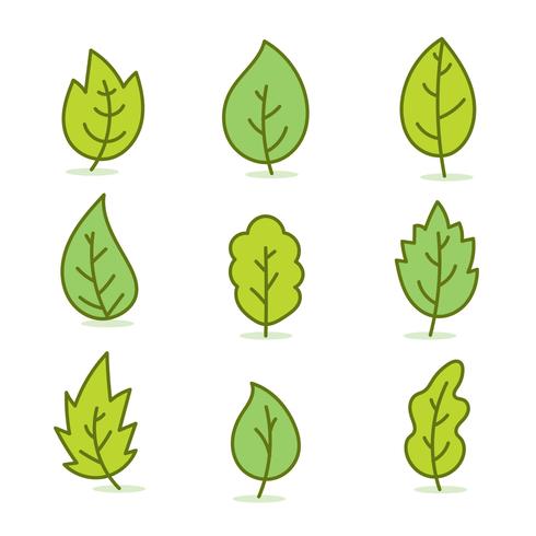 Green Leaves Collection Vector