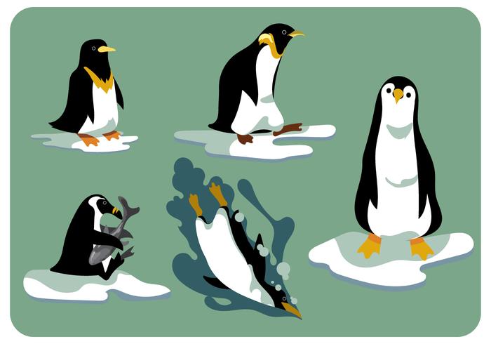 vector conjunto de imágenes prediseñadas de pingüinos