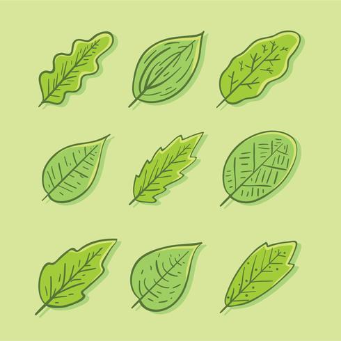 Hand Drawn Green Leaves Collection Vector