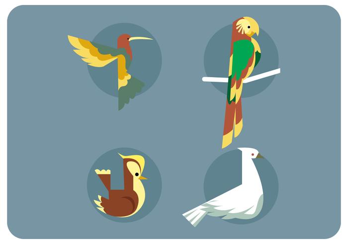 Bird Species Set Vector