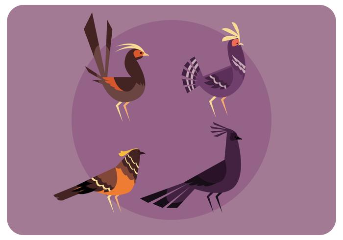 A Set of Birds Standing Vector