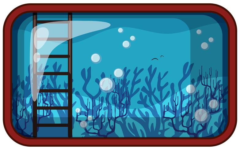 Aquarium Underwater with Coral and Ladder vector