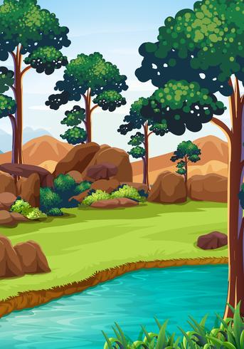 Forest scene with river and field vector