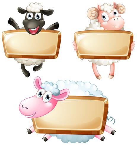 Three blank signs with cute sheeps vector