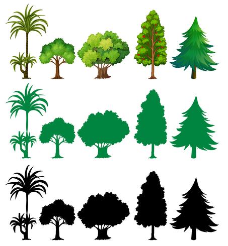 Set of different tree vector