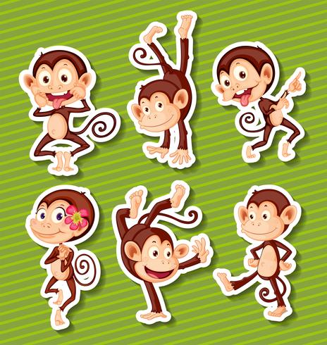 Monkeys set vector