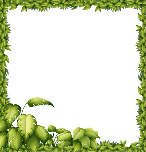 A green frame  vector