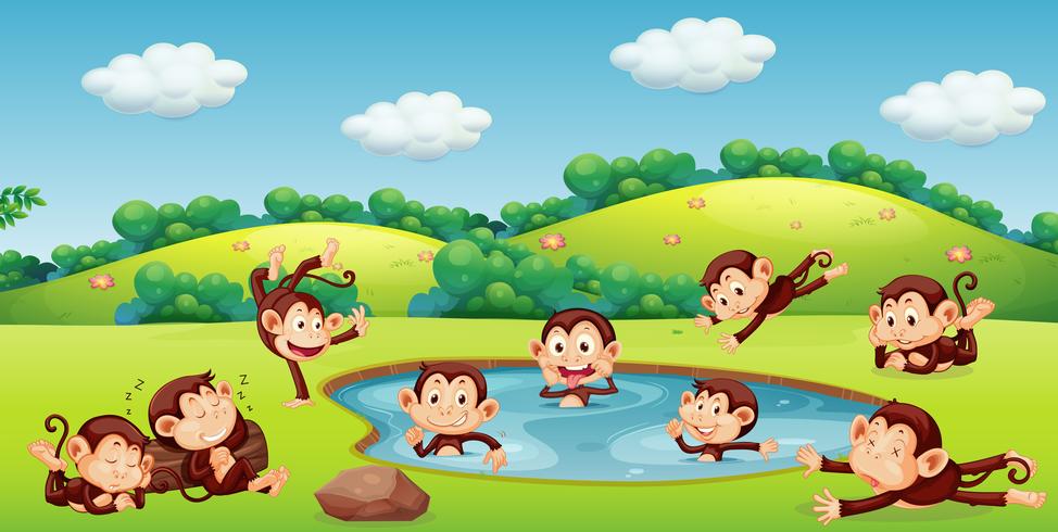 Monkey playing in nature vector