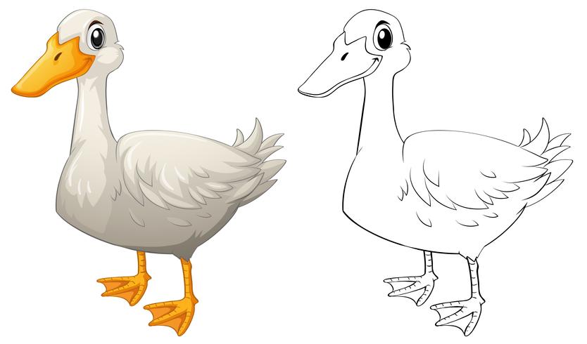 Animal doodle outline for duck vector