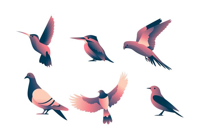 Conjunto de imágenes de aves vector