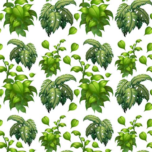 Green leaf seamless pattern vector