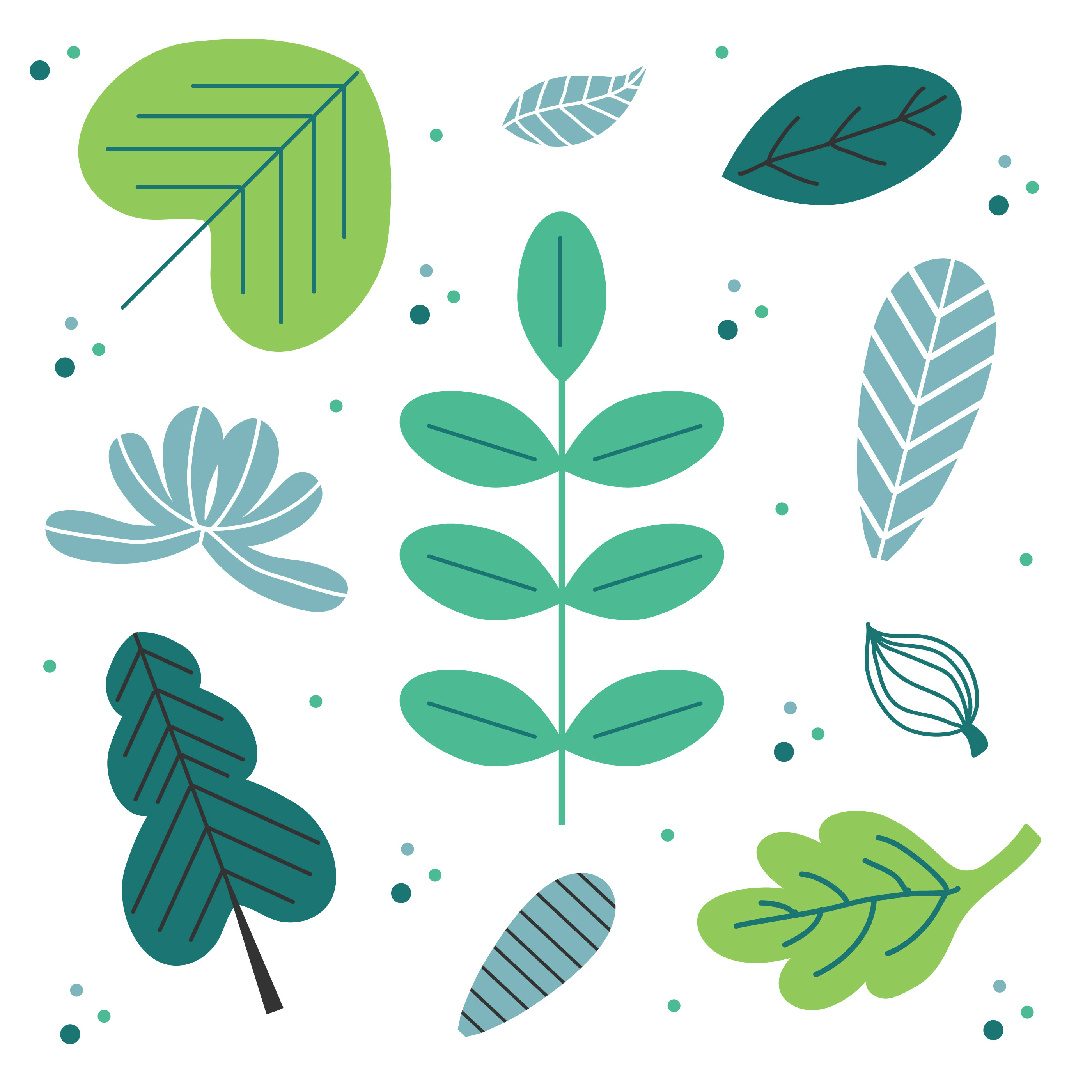 Green Leaves Set Vector 359159 Vector Art at Vecteezy