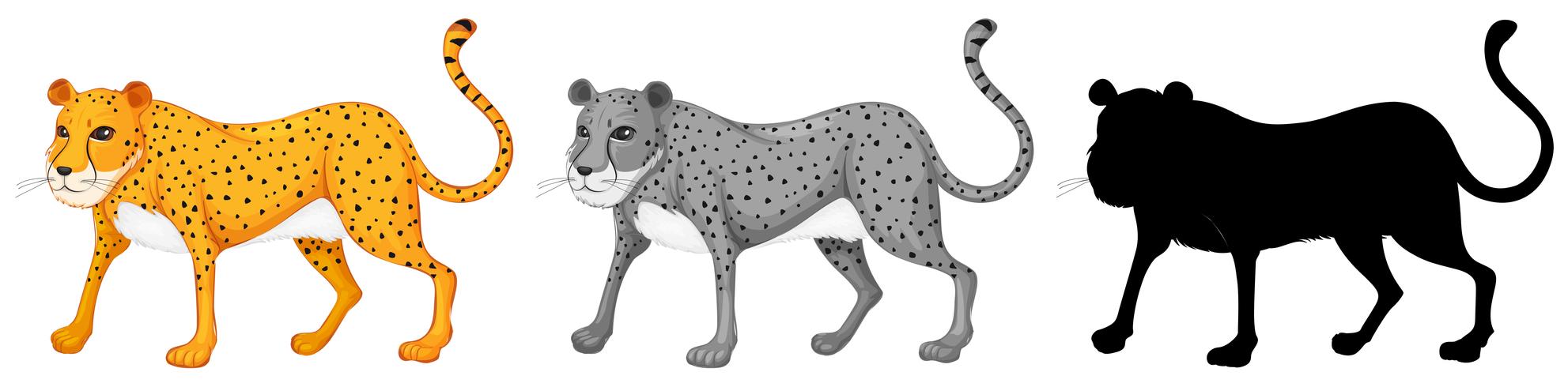 Set of cheetah character vector