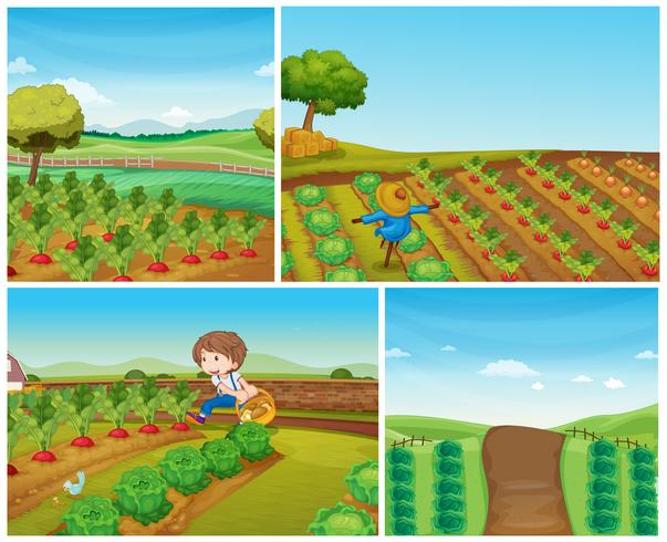 Cuatro escenas de granja con verduras y espantapájaros. vector